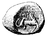 Cylinder Seal, Minoan Crete