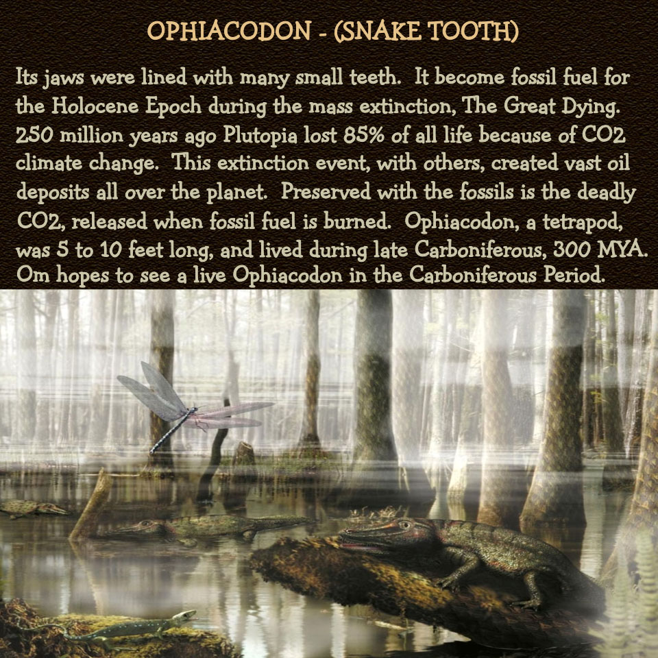 Ophiacodon