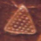 Pyramid, Triangle, Phaistos Disk Pictograph