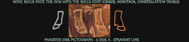 Bullfoot/Constellation Taurus