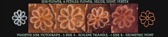 Flower/Island of Crete