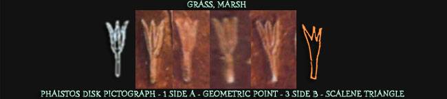 Grass