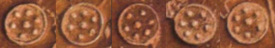 Shield