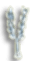 Plant Plant
