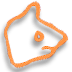 Lion/Constellation Leo Dog/Constellation Leo