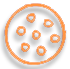 Shield of the 7 Planets Shield of the 7 Planets