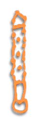 Spindle Spindle