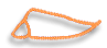 Shell Trumpet Shell Trumpet