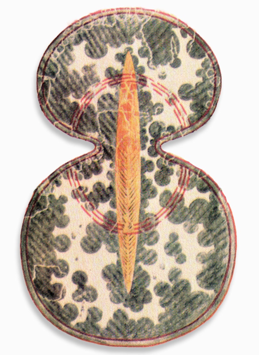Figure 8 Shield