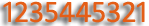 Numerical Palindrome