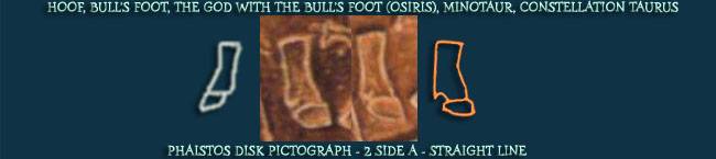 Bullfoot/Constellation Taurus