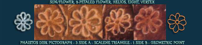 Flower/Island of Crete