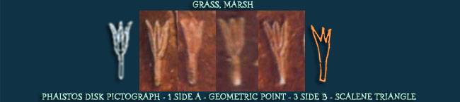 Grass