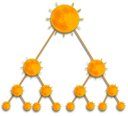Light-Body Network