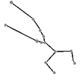 Constellation Taurus