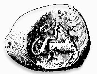 Cylinder Seal, Minoan Crete
