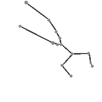Constellation Taurus